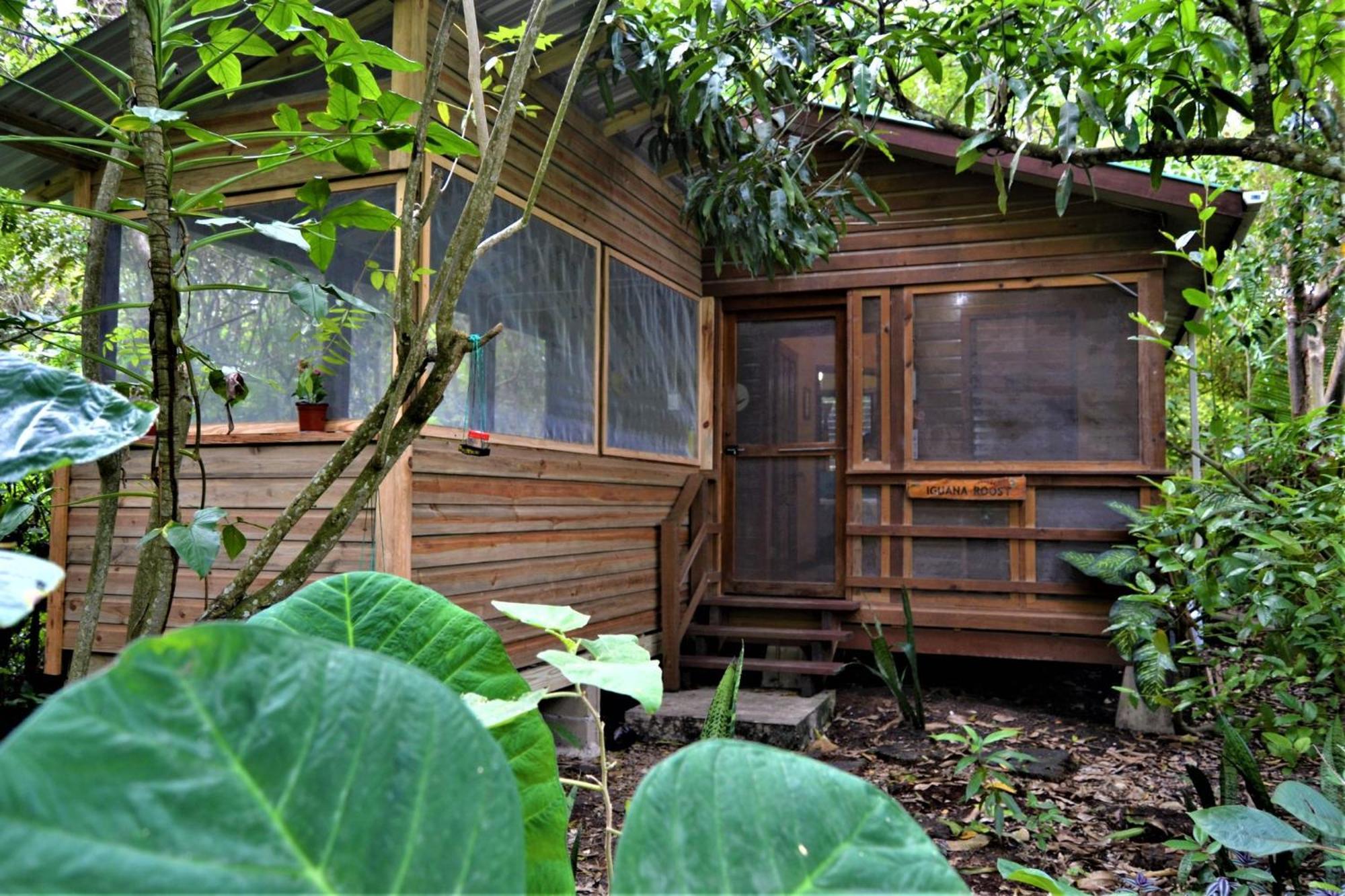 Iguana Roost Tourism Gold Standard Fully Equipped Two Bedroom Cabin San Ignacio Exterior foto